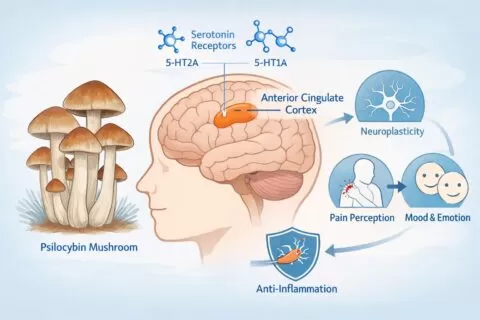 Do Magic Mushrooms Help with Pain?